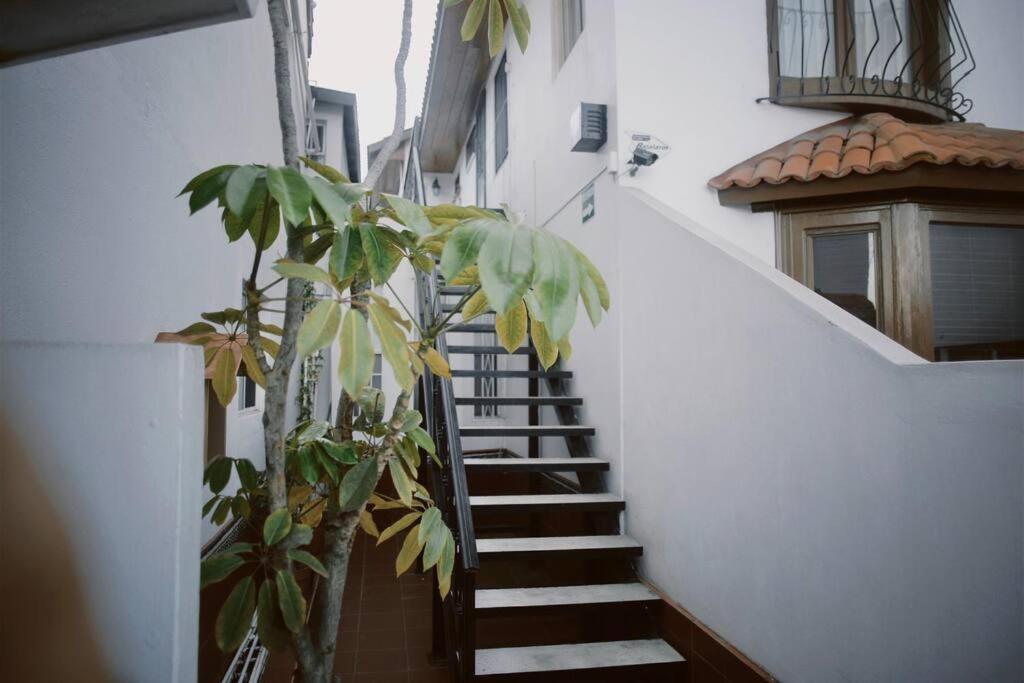 エンセナダCasa Macfarland Boutiqueアパートメント エクステリア 写真