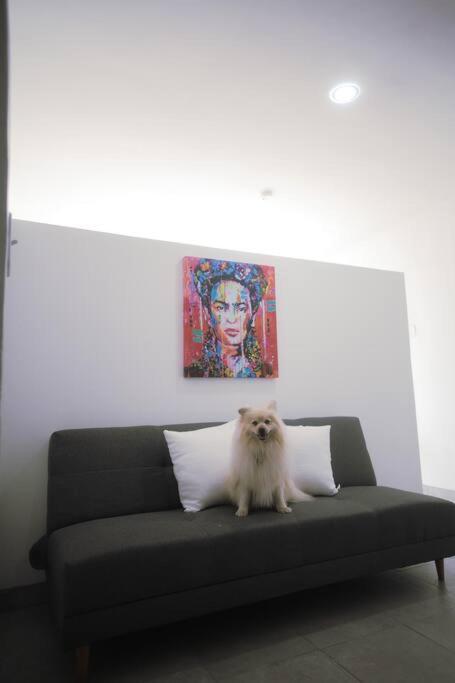 エンセナダCasa Macfarland Boutiqueアパートメント エクステリア 写真